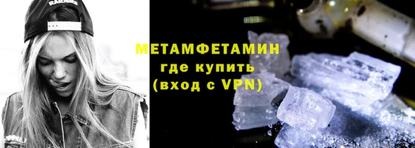 прущие грибы Балабаново