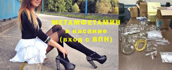 прущие грибы Балабаново