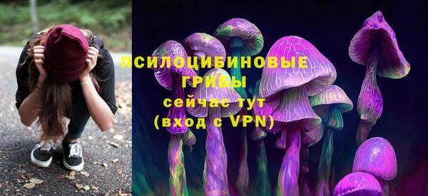 прущие грибы Балабаново