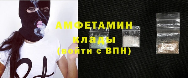 прущие грибы Балабаново