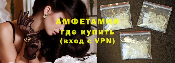 прущие грибы Балабаново