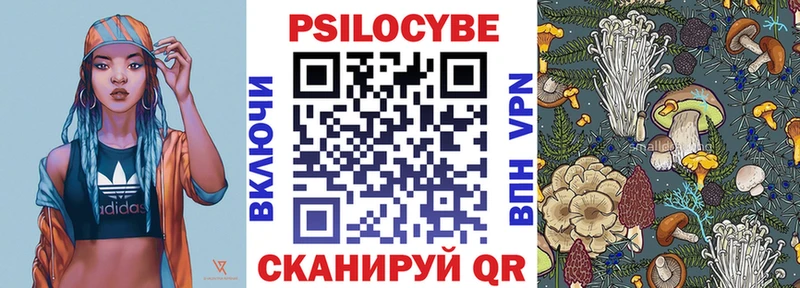 как найти наркотики  Александровское  Псилоцибиновые грибы ЛСД 